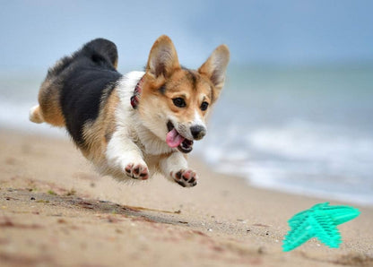 ChewCare™ Dental Toy – Green Star