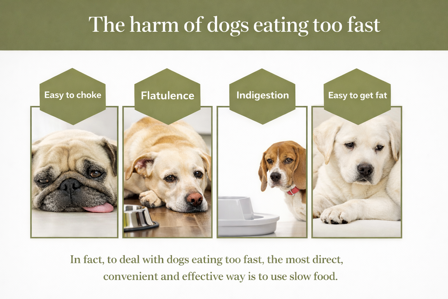 Tapis à lécher CalmFlow™ – Motif Deep Focus