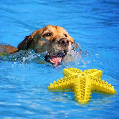 ChewCare™ Dental Toy – Green Star