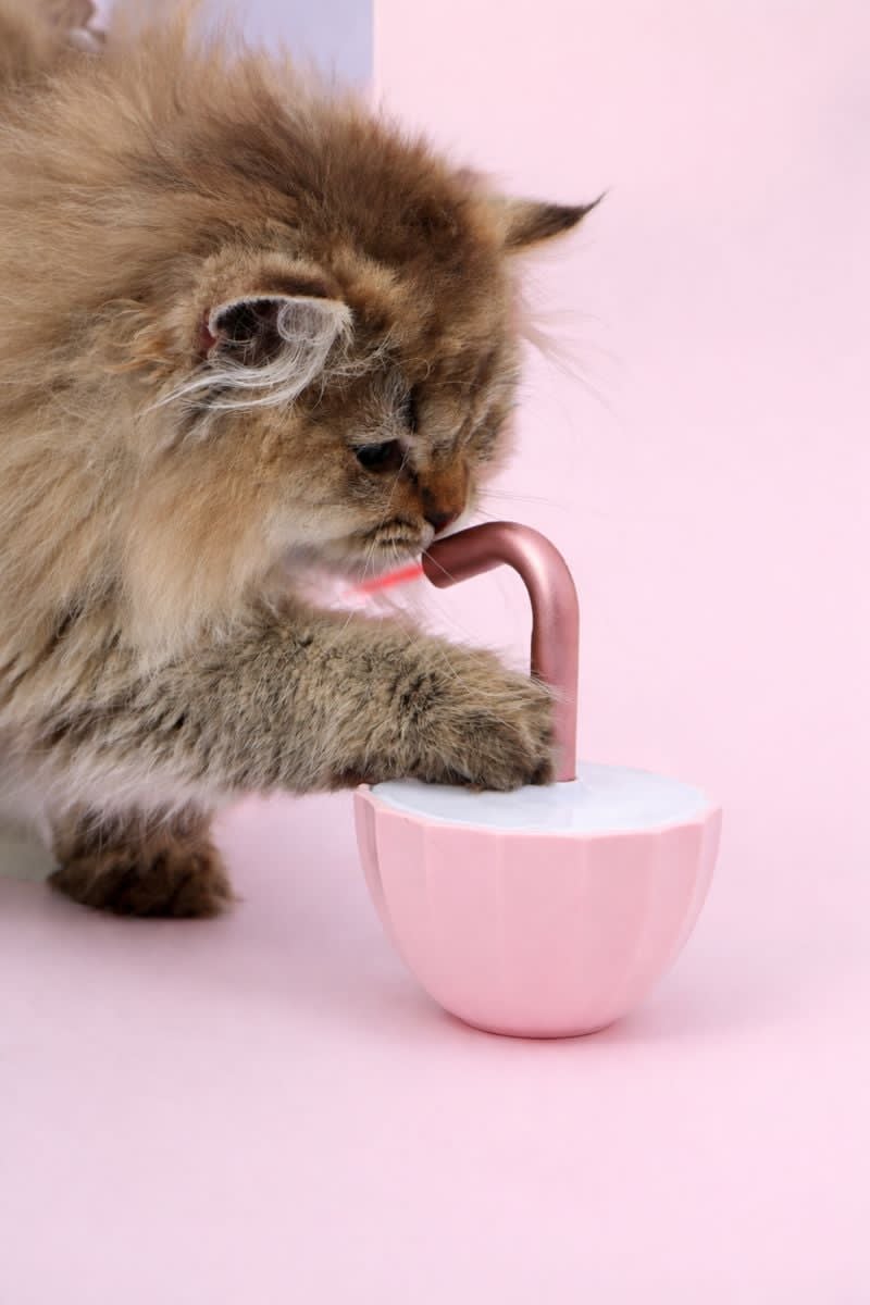 LightChase™ Interactive Laser Toy